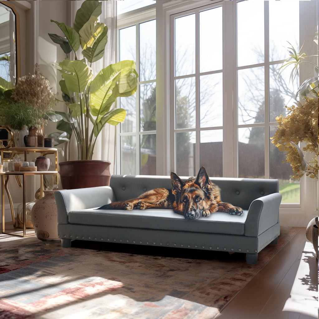 Rectangle Pet Bed for Medium and Large Dogs, Durable Elevated Dog Sofa Bed, Comfortable Dog Couch