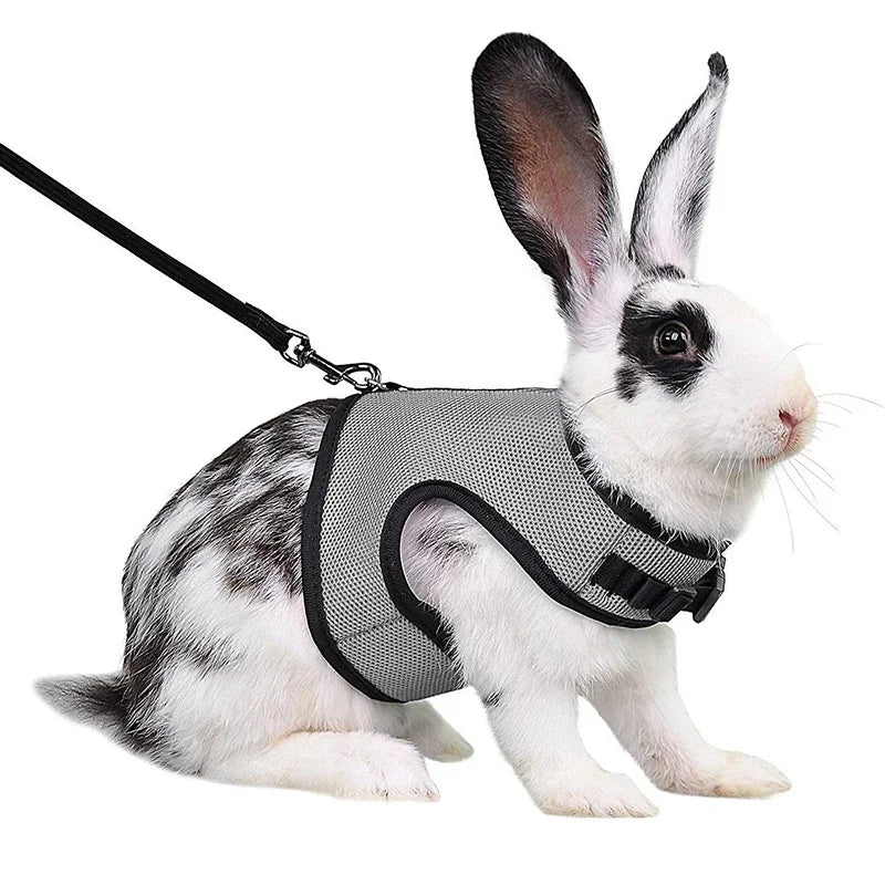 Breathable Stylish Vest Adjustable Soft Harness And Elastic Leash Set For Rabbits