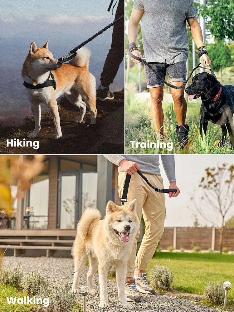 Military Dog Leashes Adjustable Leash Quick Release Elastic Rope With 2 Control Handle For Medium and Small Dogs