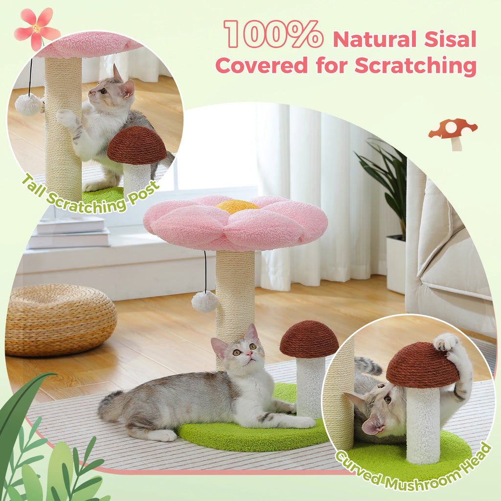 Small Cat Scratching Posts with Removable Flower Cat Bed Interactive Toy Ball for Indoor Cat