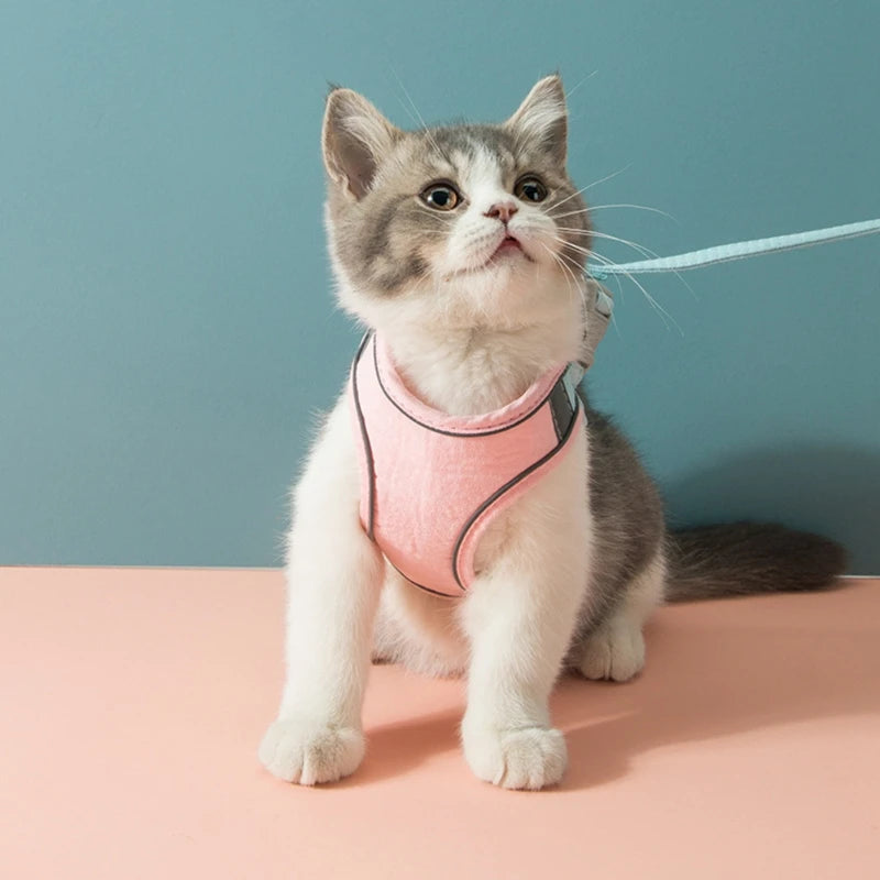 Cat Harness Leash Set Breathable With Reflective Strip