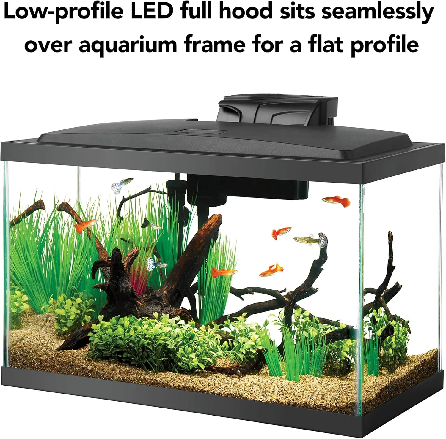 10 Gallon Aquarium Starter Kit with LED Lighting, Complete Fish Tank Setup for Beginners