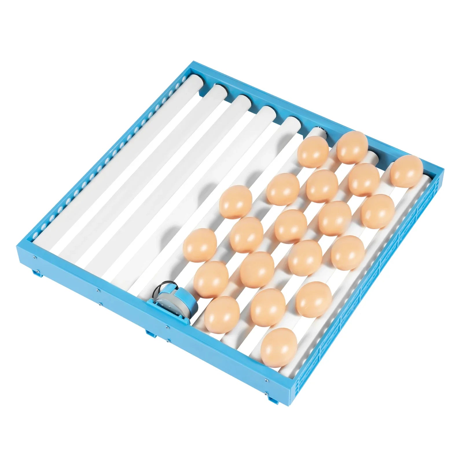 Professional 64 Egg Incubator with Automatic Turner, Digital Thermostat Control for High Hatch Rate, Ideal for Chicken & Duck