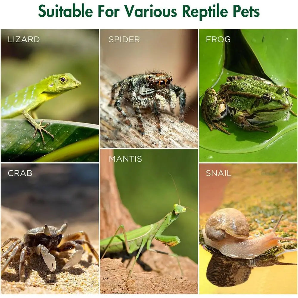 Pre-Assembled, Acrylic Terrarium with Magnetic Door & All-Side Ventilation for small insects