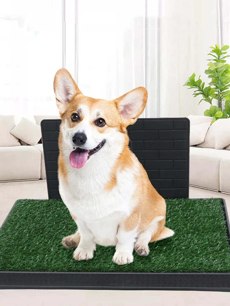 Dog Grass Pad with Large Tray Reusable Training Pads with Pee Baffle Artificial Grass Patch Ideal for Small and Medium Dogs