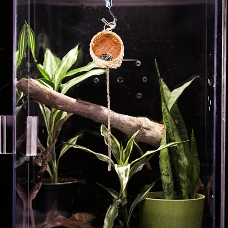 Magnetic Jumping Spider Hideaway Pet Spider Habitat with Climbing Rope Decorative Small Pet House Shelter Space