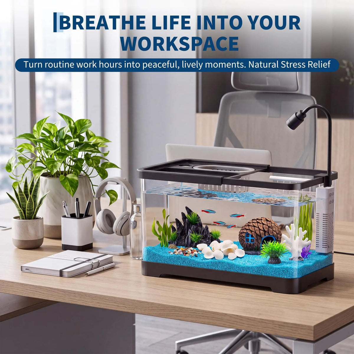 Fish Tank Starter Kit With Filter And Light Plastic Fish Tank For Goldfish Shrimp Betta Hermit Crab