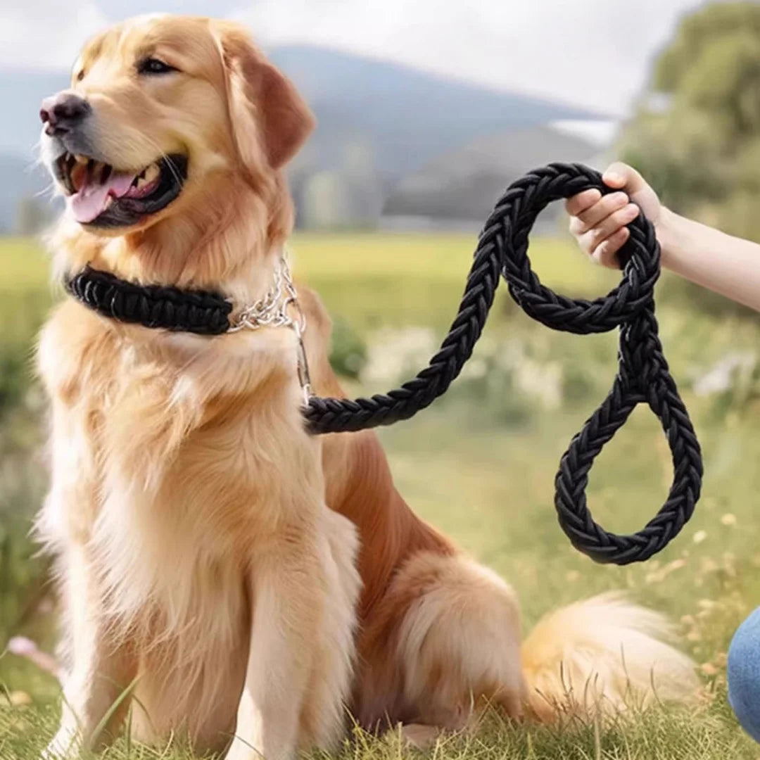 Durable Nylon Braided Large Dog Leash Traction Rope