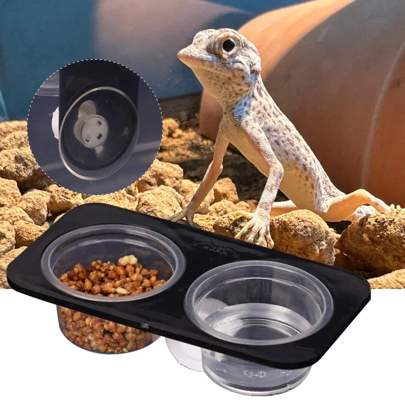 Reptile with Suction Cup Feeders Feeding Water Bowls