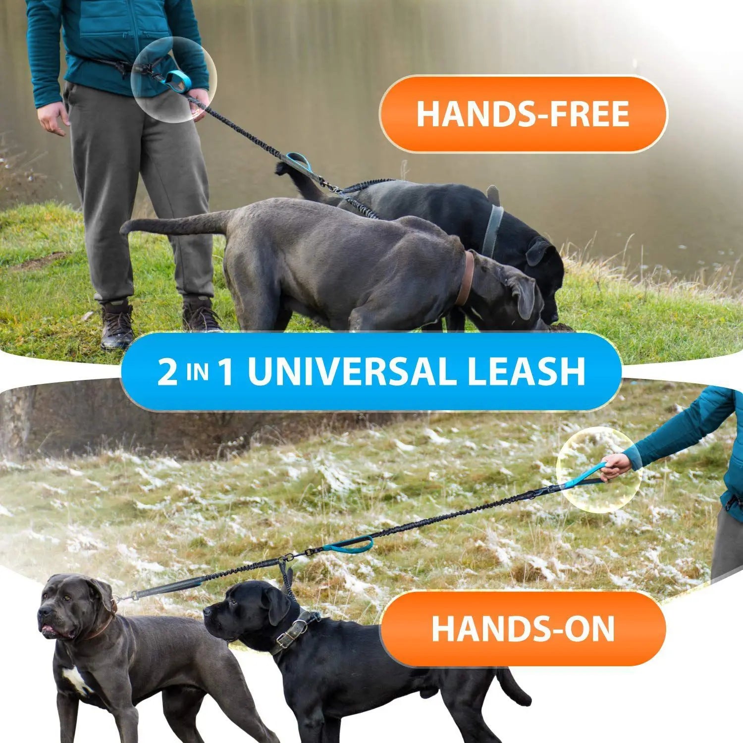 Explosion-Proof Short Elastic Buffer Pet Leash One-Hand Drag Two-Walking Rope
