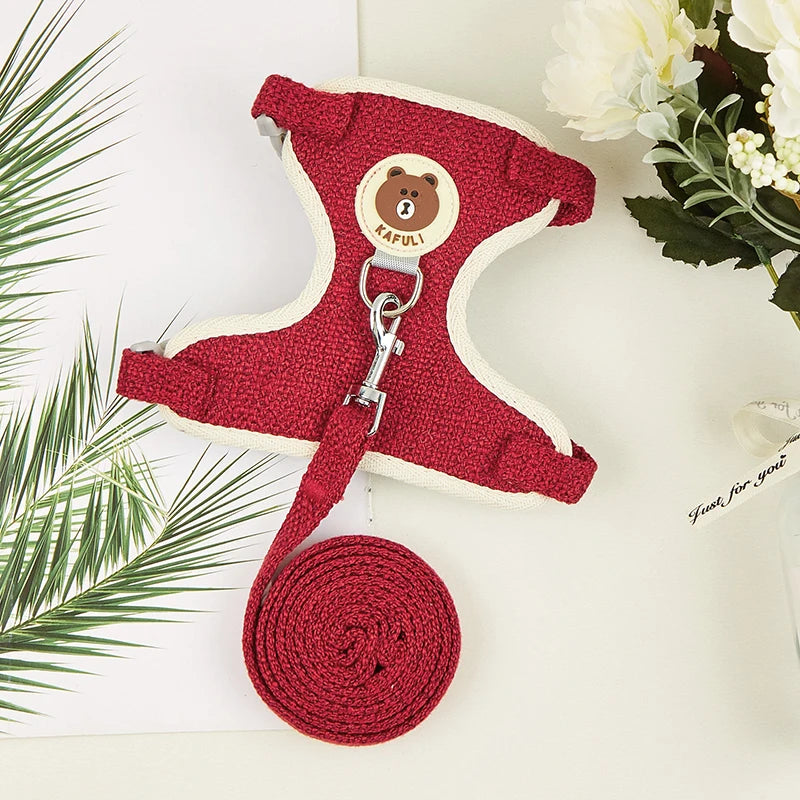 Cute Rabbit Harness and Leash Set for Outdoor Walking