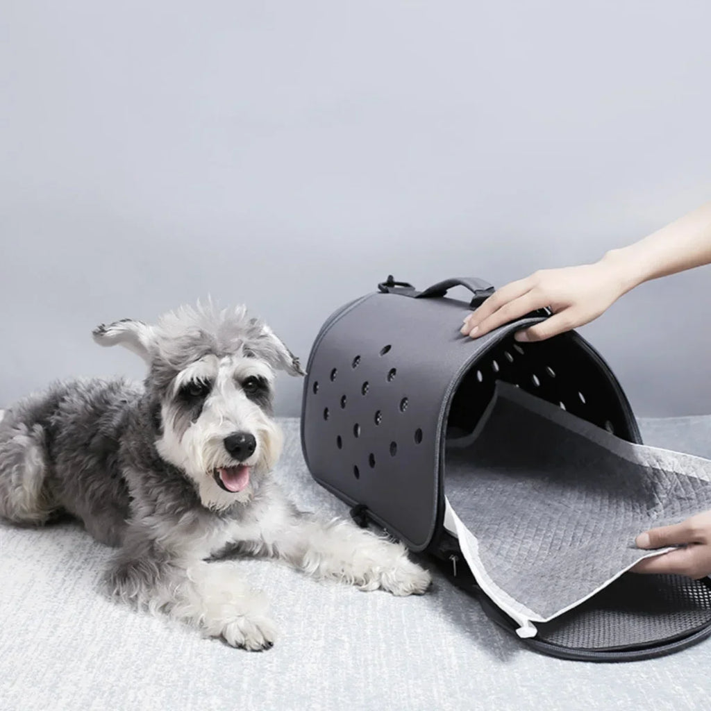 Absorbent Disposable Training Pee Pads Quick Dry Bamboo Charcoal Surface Mat Clean Cushion