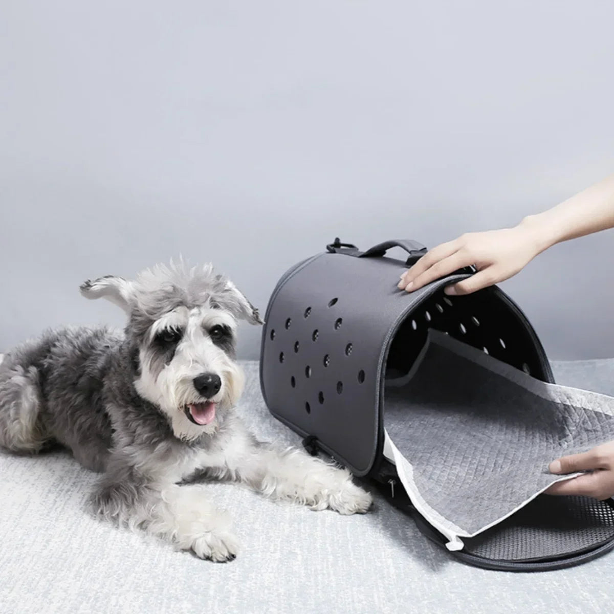 Absorbent Disposable Training Pee Pads Quick Dry Bamboo Charcoal Surface Mat Clean Cushion