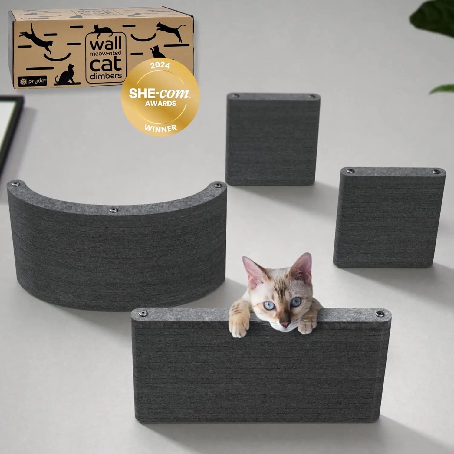 Set of 4 Wall-Mounted Charcoal Cat Shelves: Sustainable PET Felt Climbing Furniture for Indoor Cats