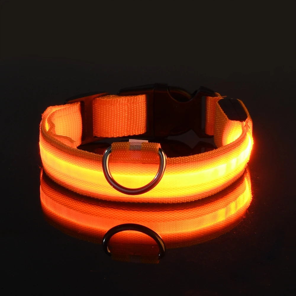 Nylon LED Night Safety Flashing Glow In The Dark Luminous Fluorescent Pet Dog Collar
