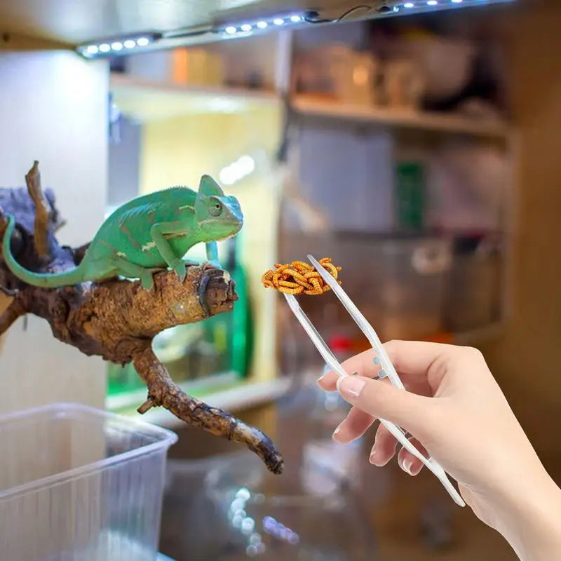 Feeding Tweezers Long Tweezers Feeder Tools For Reptile Anti-Slip And Ergonomic