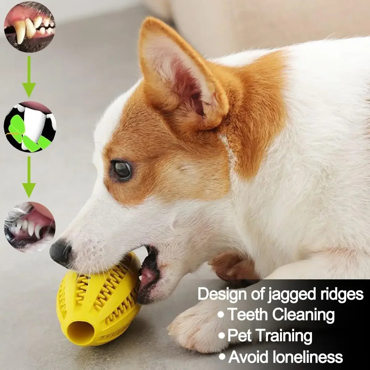 Pet Dog Chew Toys Teeth Cleaning Snack Ball Natural Rubber Super Tough Interactive Bouncy