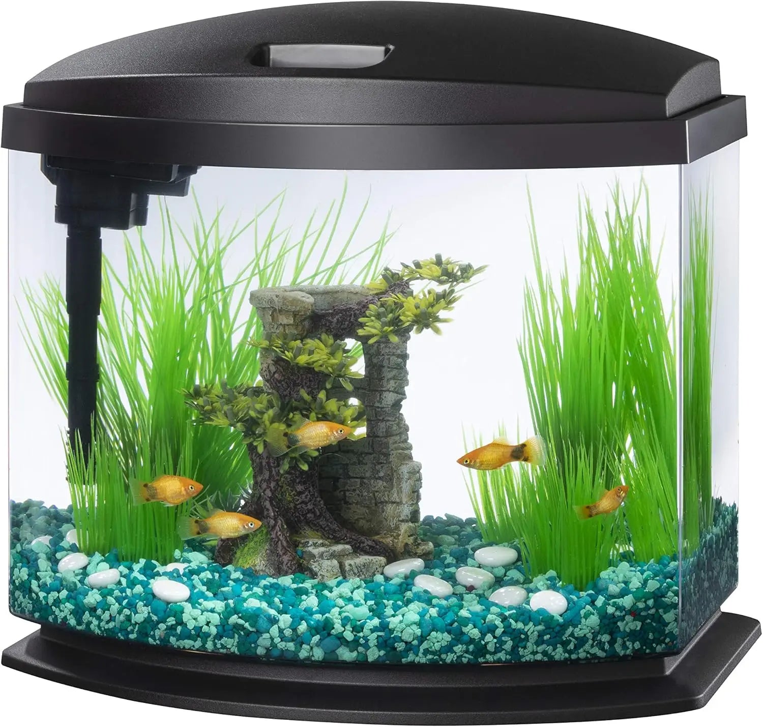 5 Gallon LED Mini Aquarium Fish Tank Kit with SmartClean Technology, Easy Setup for Beginners