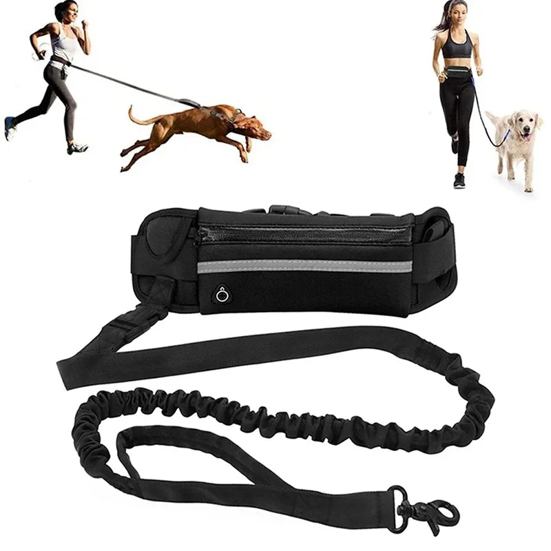 Hands Free Dog Leash for Running Walking Reflective Leash with Waist Bag Retractable Elastic Belt