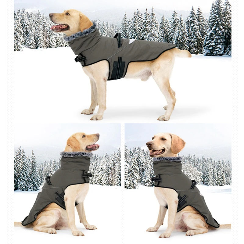 Winter Dog Puppy Jacket Fur Collar Waterproof Warm Coat With Harness for Small Large Dogs