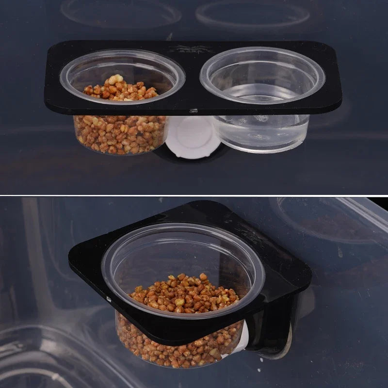 Reptile with Suction Cup Feeders Feeding Water Bowls