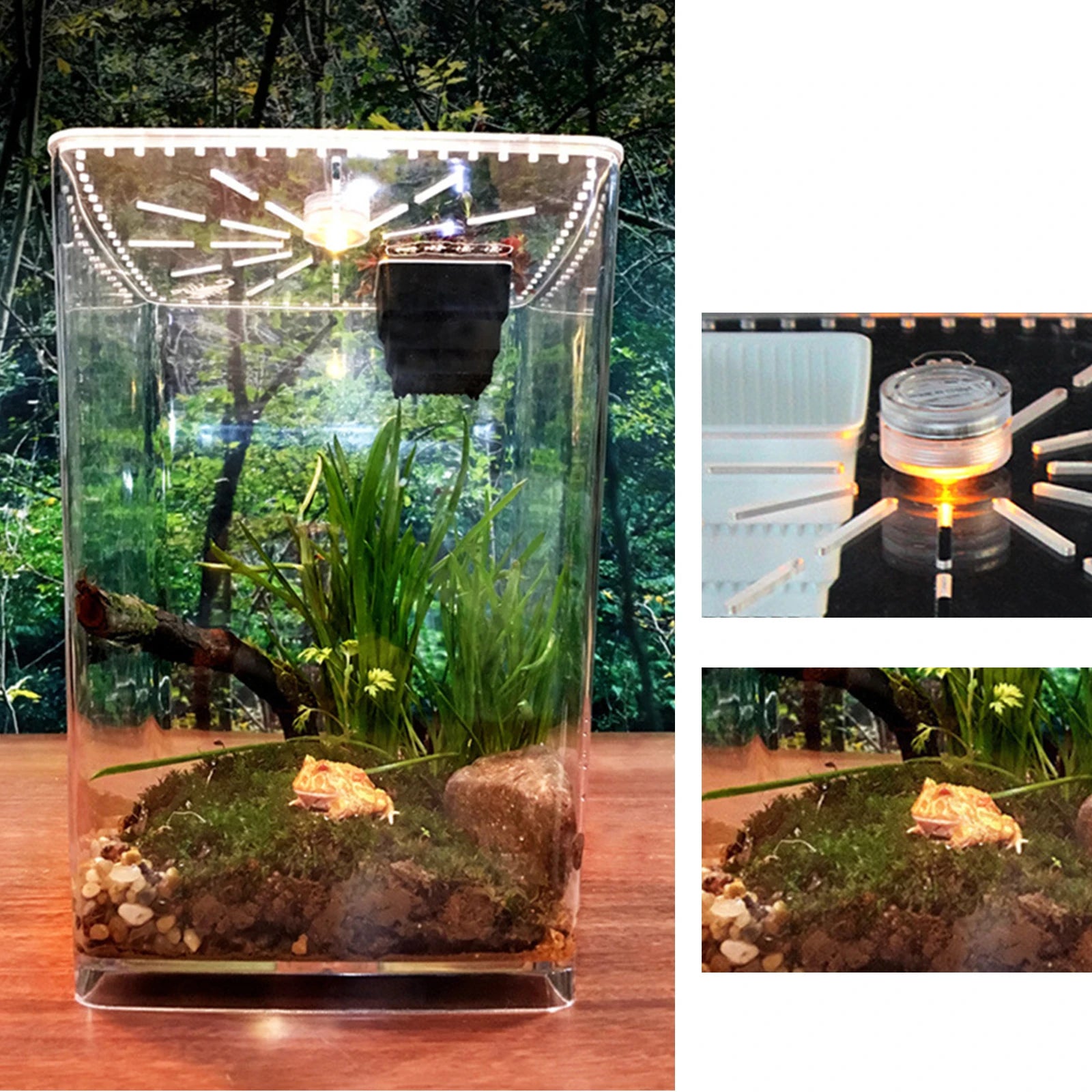 Micro Habitat Terrarium Lightweight, Tabletop Mount, Top Feeding/Vent Holes, Fits Reptiles/Small Insects