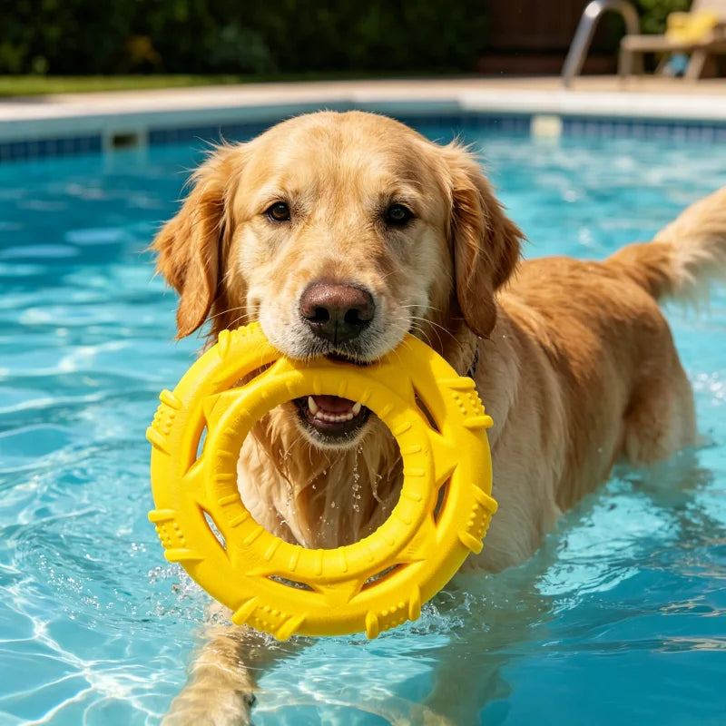 3 in 1 Floating Dog Frisbee Tug Chew Toy Soft Bite Resistant TPR Interactive Outdoor Toy for Pool Beach Summer Fetch Training