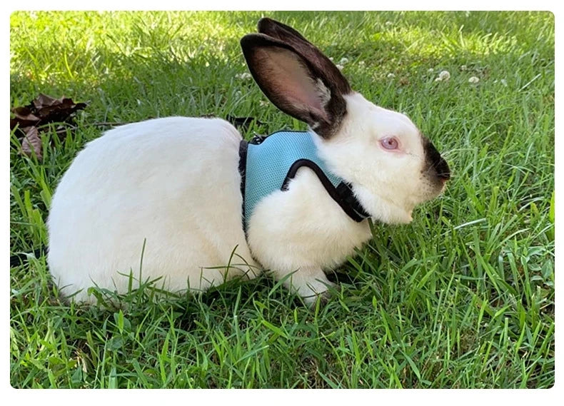 Breathable Stylish Vest Adjustable Soft Harness And Elastic Leash Set For Rabbits