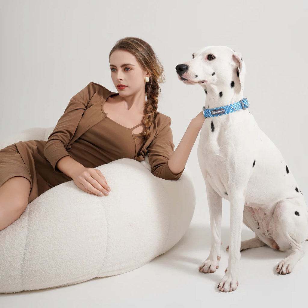 Leashes And Collar Set For Small Medium Large Dogs