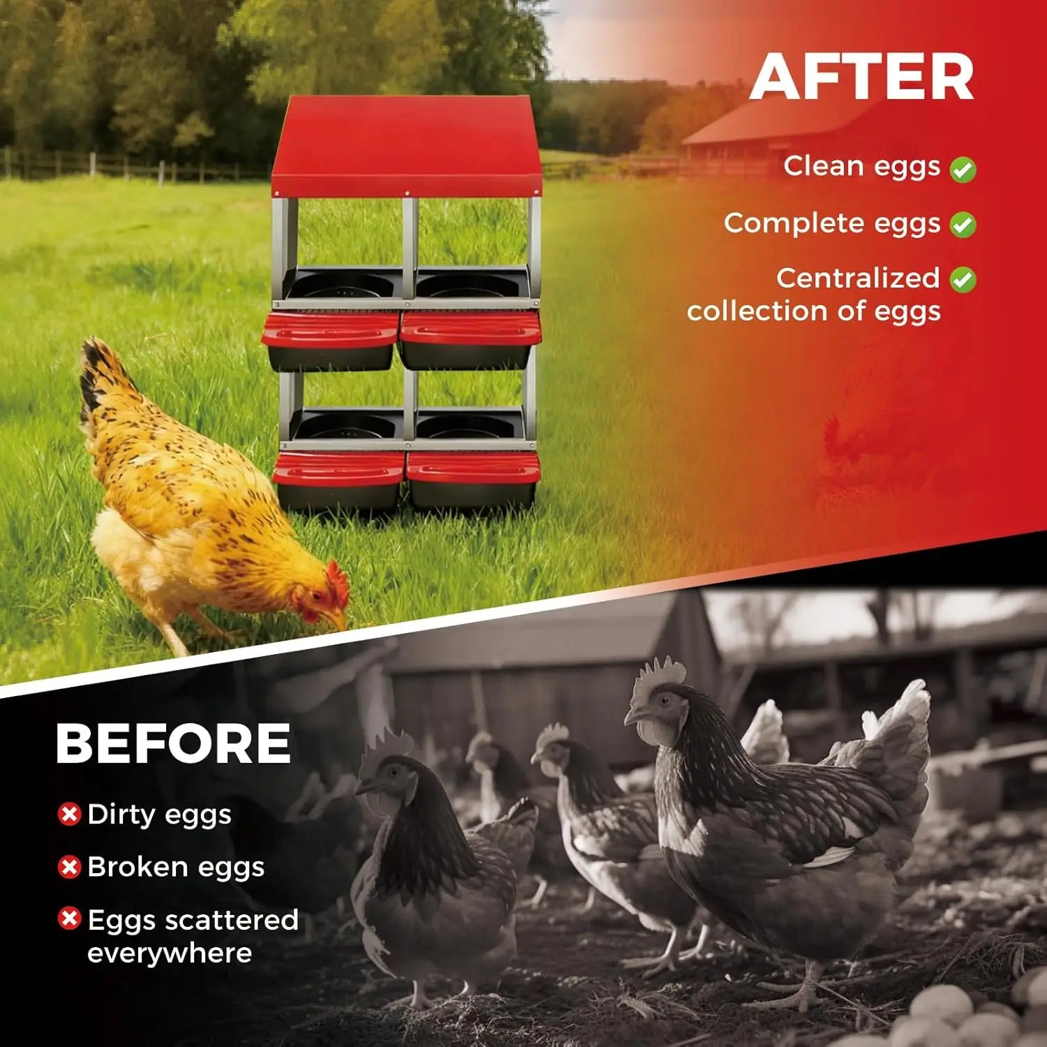 Chicken Nesting Box 4 Compartment Roll Away Design Automatic Roll-Out Egg Collection with Perch Wall Mount