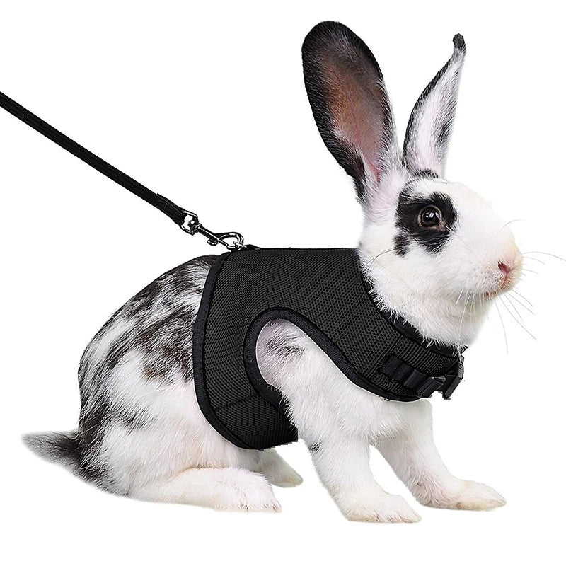 Breathable Stylish Vest Adjustable Soft Harness And Elastic Leash Set For Rabbits