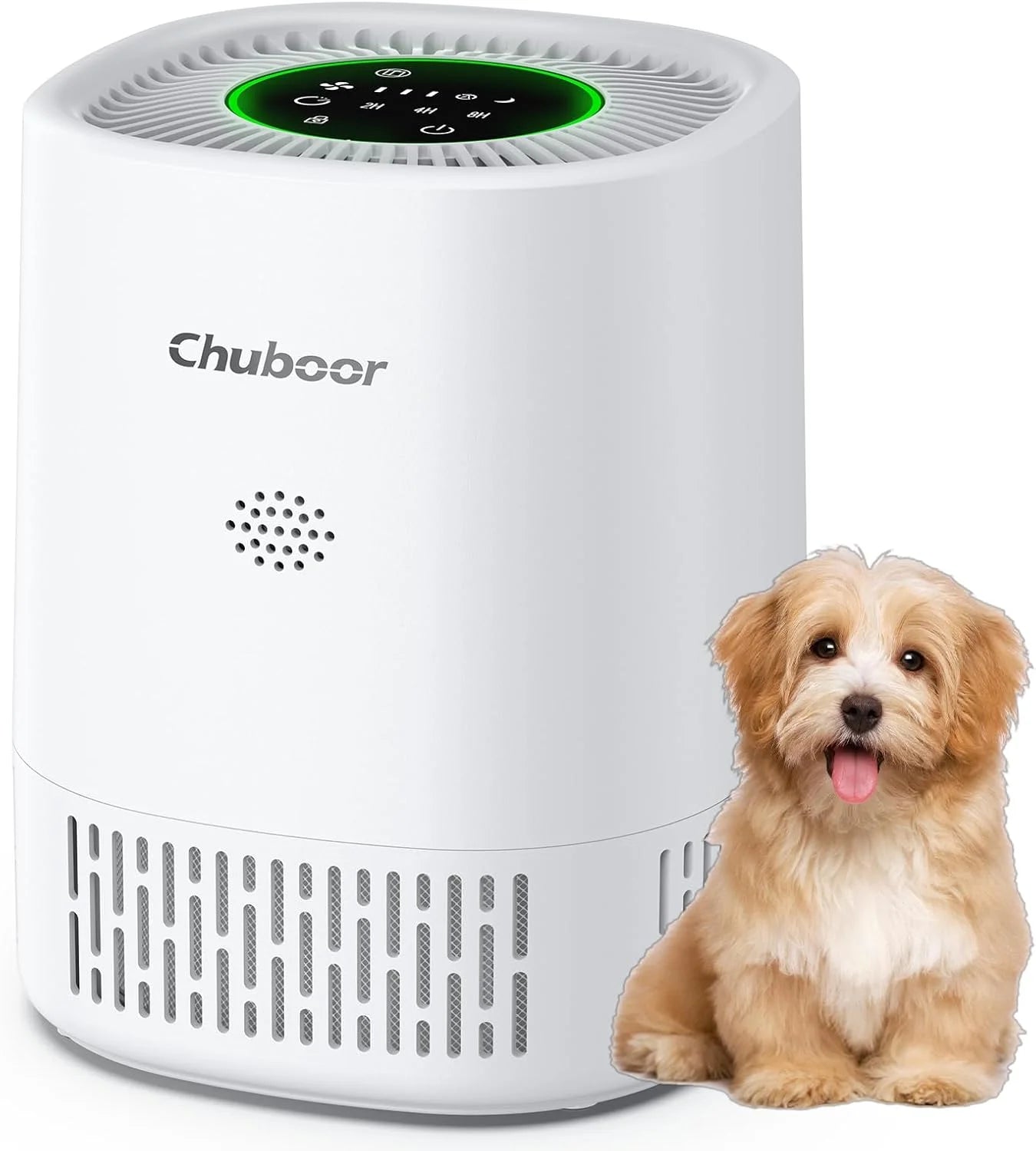 Air Purifiers for Bedroom Home, Filter Cleaner with Sponge Filters Smoke Allergies Pet Dander Odor Dust, Office, Desktop