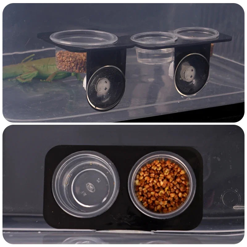 Reptile with Suction Cup Feeders Feeding Water Bowls
