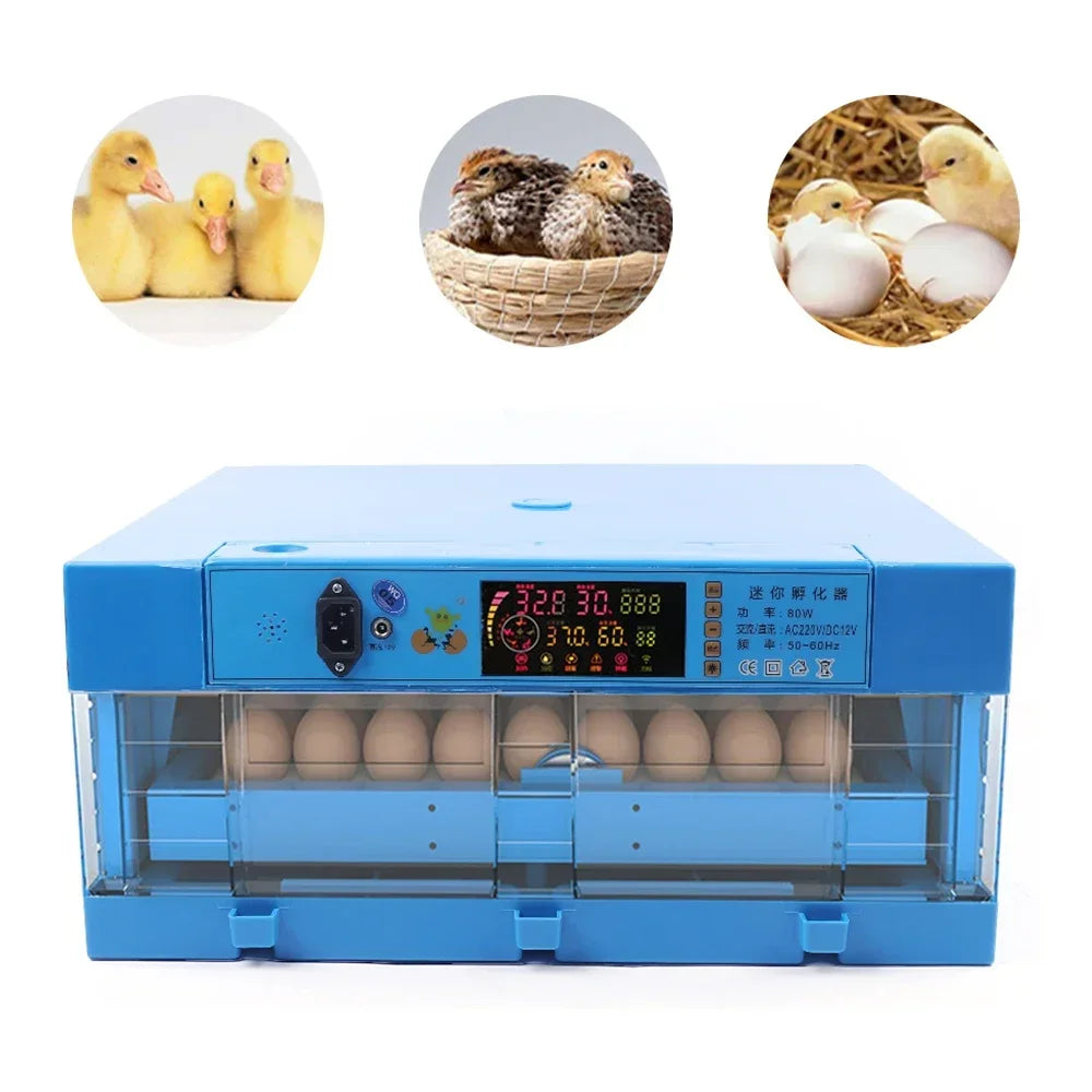 Professional 64 Egg Incubator with Automatic Turner, Digital Thermostat Control for High Hatch Rate, Ideal for Chicken & Duck