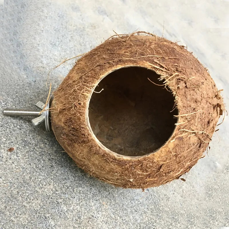 Natural Coco Hideaway Birds Reptile Coconut Shell Hanging Toy House