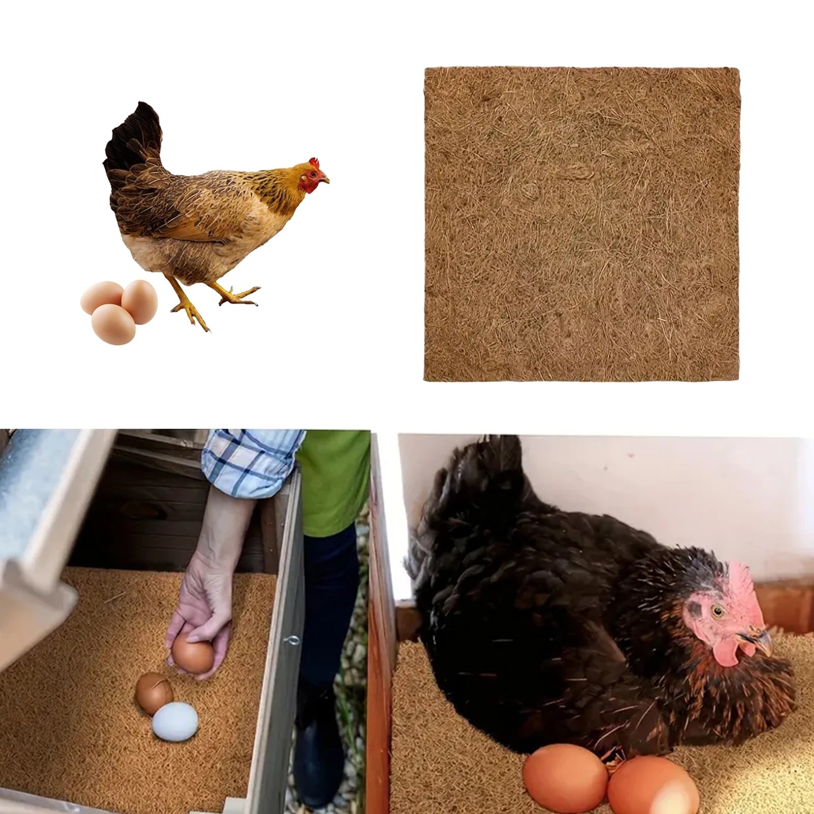 Coconut Fiber Reptile Mat Lizard Terrarium Breeding Eggs Mat Laying Nest Pad Dust Free Moisturizing Pet Bedding