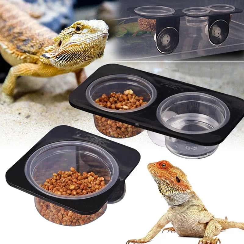 Reptile with Suction Cup Feeders Feeding Water Bowls