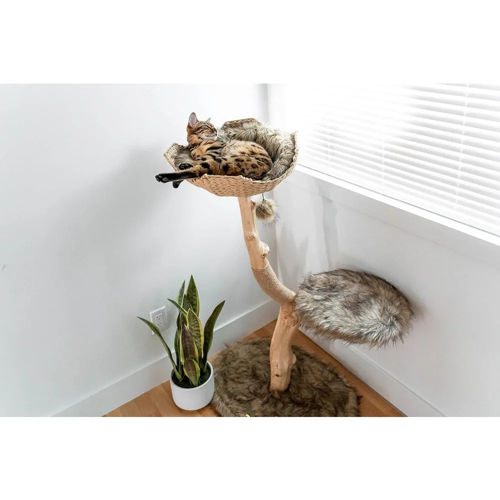 Wooden Cat Tree Tower, Modern Single Branch, Cat Climbing Furniture