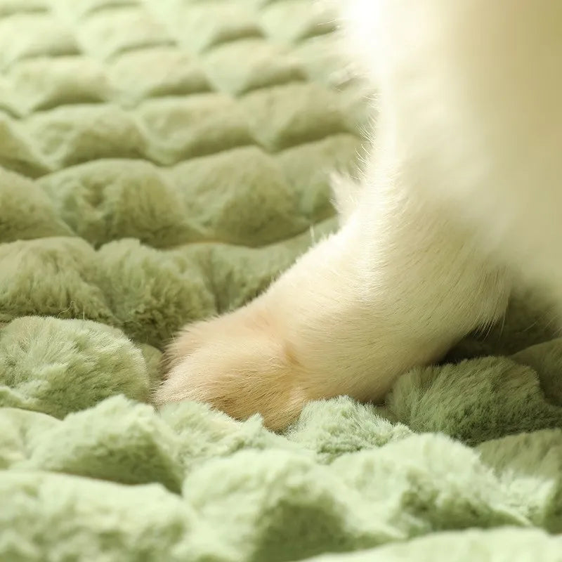 Dog Bed Mat Protect Cervical Spine indoor For Small Medium Large Dogs Bed Comfort