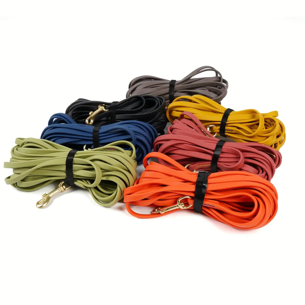 Dog Waterproof Leash 5ft, 10ft, 20ft, 30ft Beach Swimming Training, Medium and Large Dogs