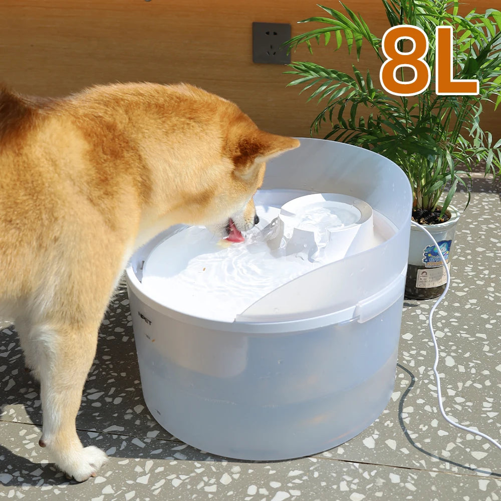 2 Gallon White Dog Water Fountain For Large Medium Dogs