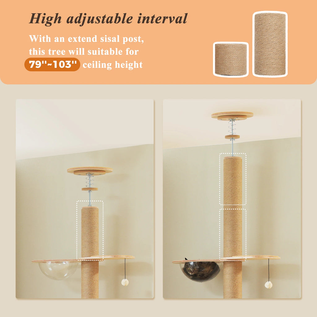 Floor to Ceiling Cat Tree for Indoor Cats Adjustable Height Wooden with Thick Scratching Posts Acrylic Cave