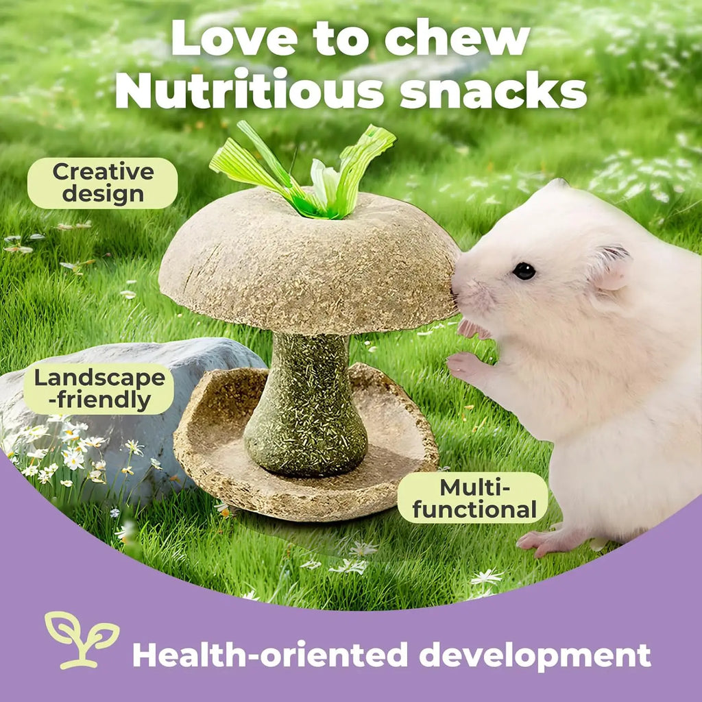 Apple Core Shaped Chew Toy - Natural Small Pet Dental Treat for Guinea Pig, Rabbit, Chinchilla, Rat