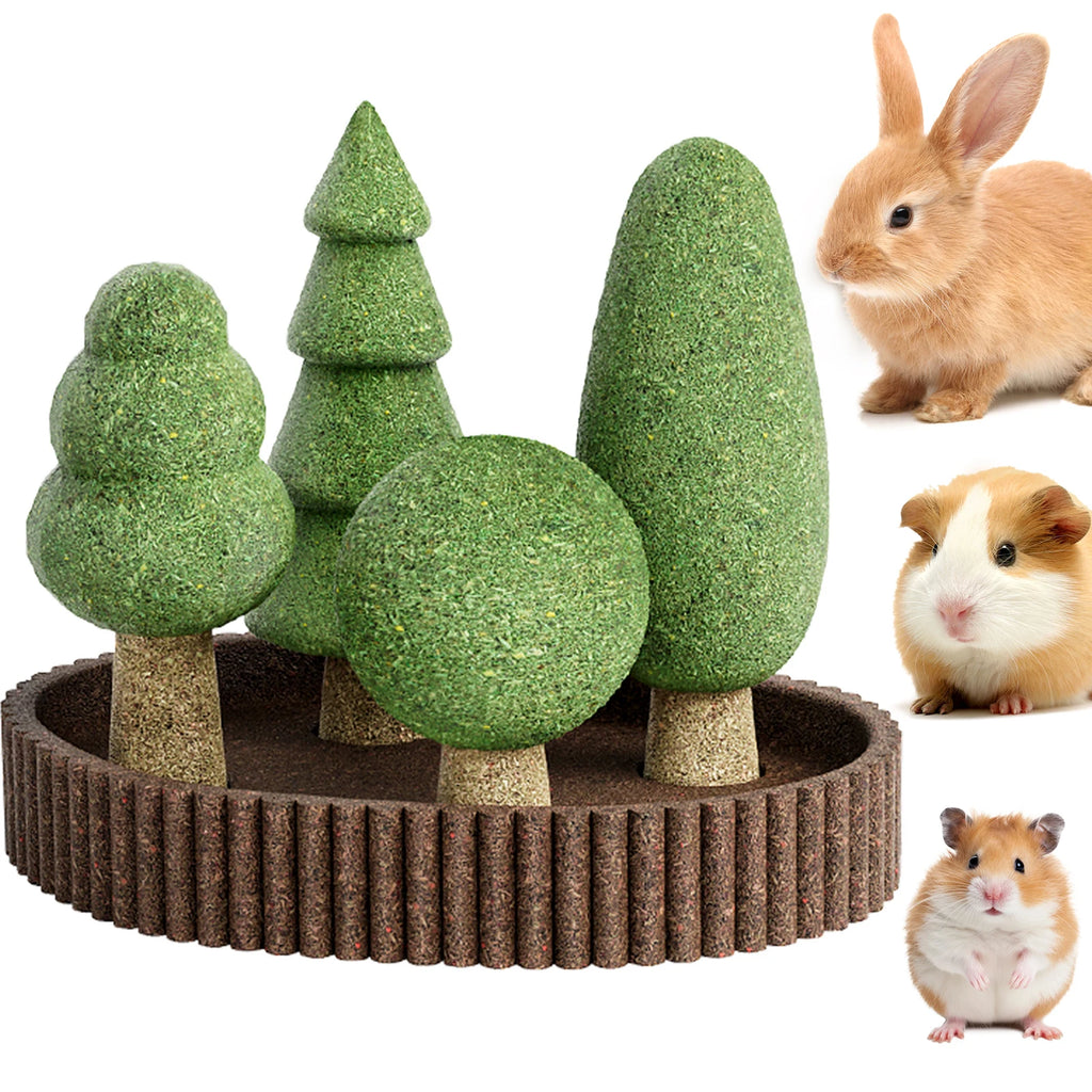 Natural Edible Guinea Pig/Rabbit Treats, Small Pet Dental Health Toys