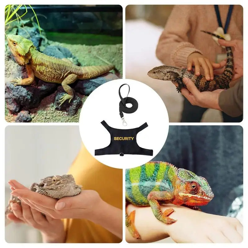 Reptile Lizard Gecko Bearded Dragon Harness and Leash Comfortable
