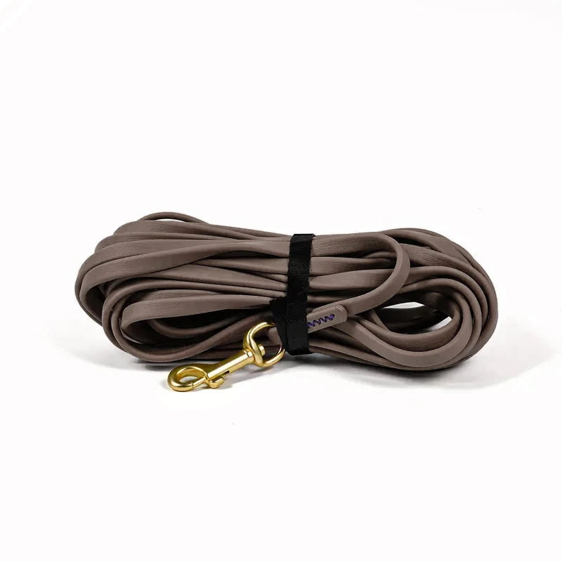 Dog Waterproof Leash 5ft, 10ft, 20ft, 30ft Beach Swimming Training, Medium and Large Dogs