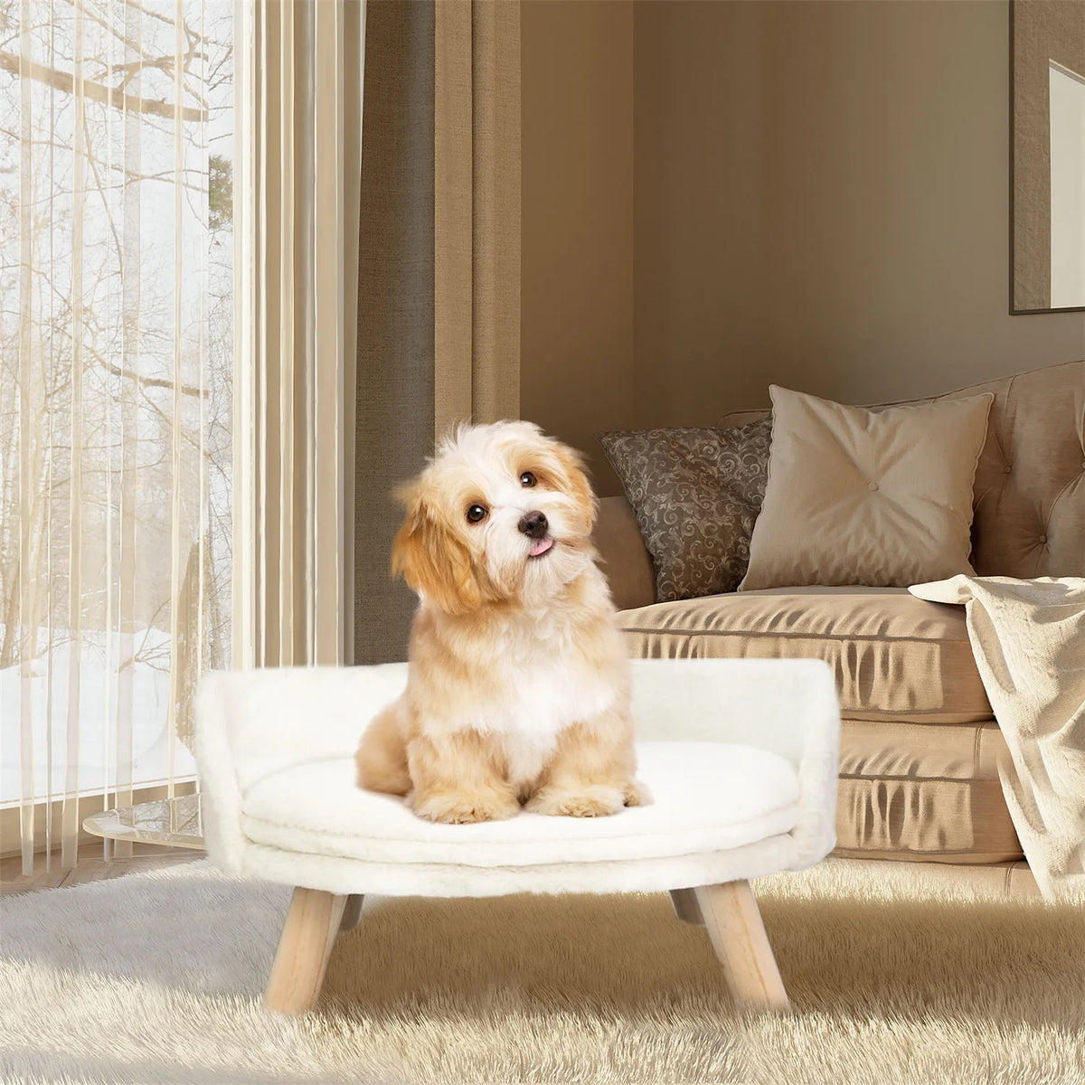 Pet Sofa Bed Raised Cat Chair Small Dog Couch Bed Removable Cushion