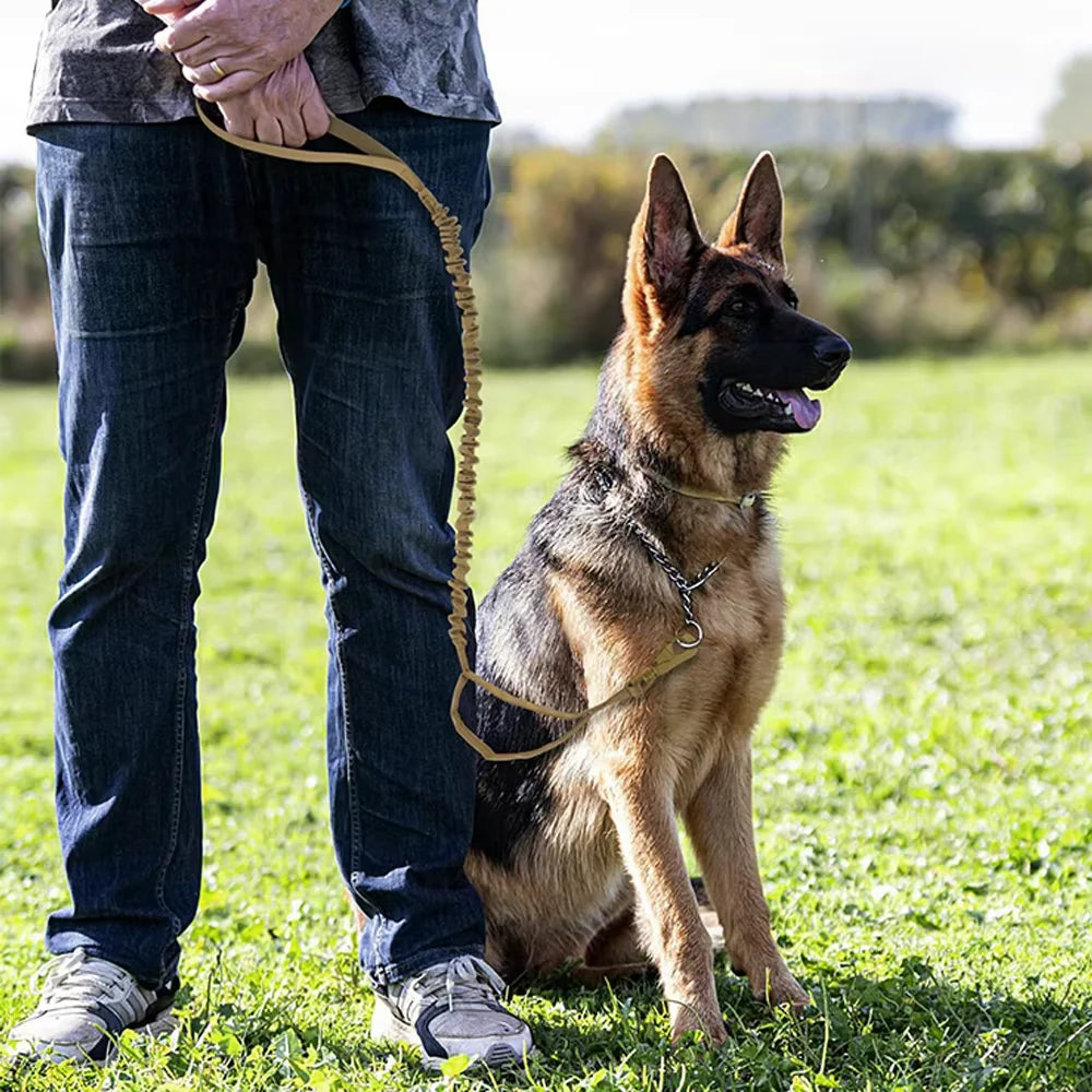 Military Dog Leashes Adjustable Leash Quick Release Elastic Rope With 2 Control Handle For Medium and Small Dogs