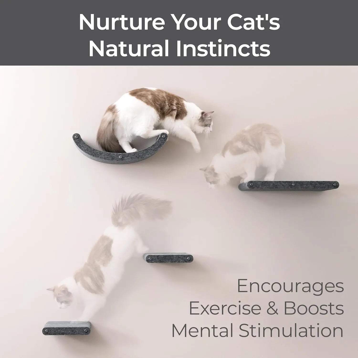 Set of 4 Wall-Mounted Charcoal Cat Shelves: Sustainable PET Felt Climbing Furniture for Indoor Cats