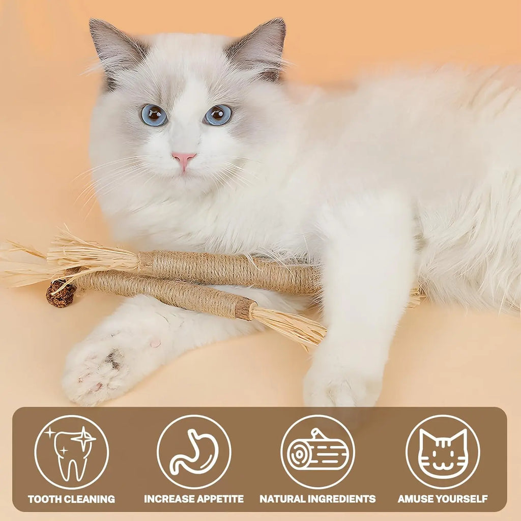 Silvervine Chew Sticks for Cats Kittens Teeth Cleaning, Calm Cat Anxiety, Aggressive Chewers Cat Dental Toy